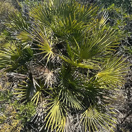 Bed & Breakfast Pram'e Sinis 3*